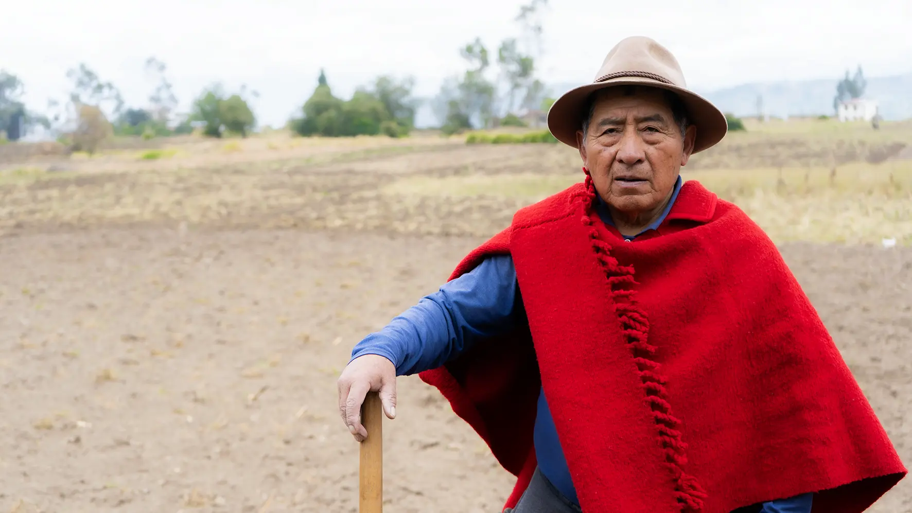 Asesoría crediticia